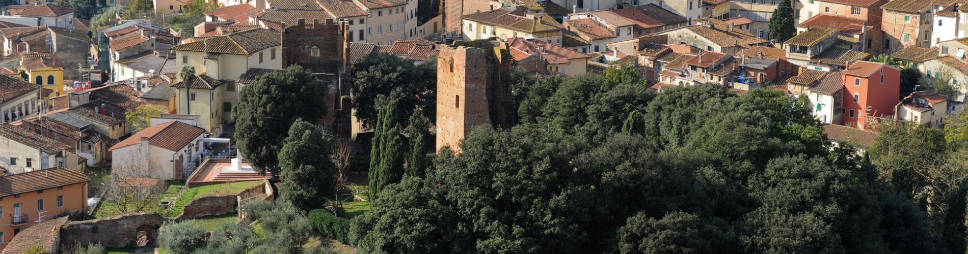 FUCECCHIO panaroma (per utilizzo citare autore Giancarlo Vettorato)