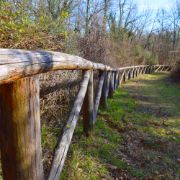 Boschi delle Cerbaie