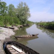 Il Padule di Fucecchio