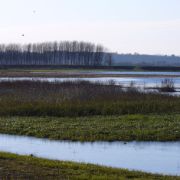 Il Padule di Fucecchio