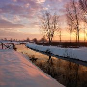 Il Padule di Fucecchio