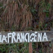 Via Francigena